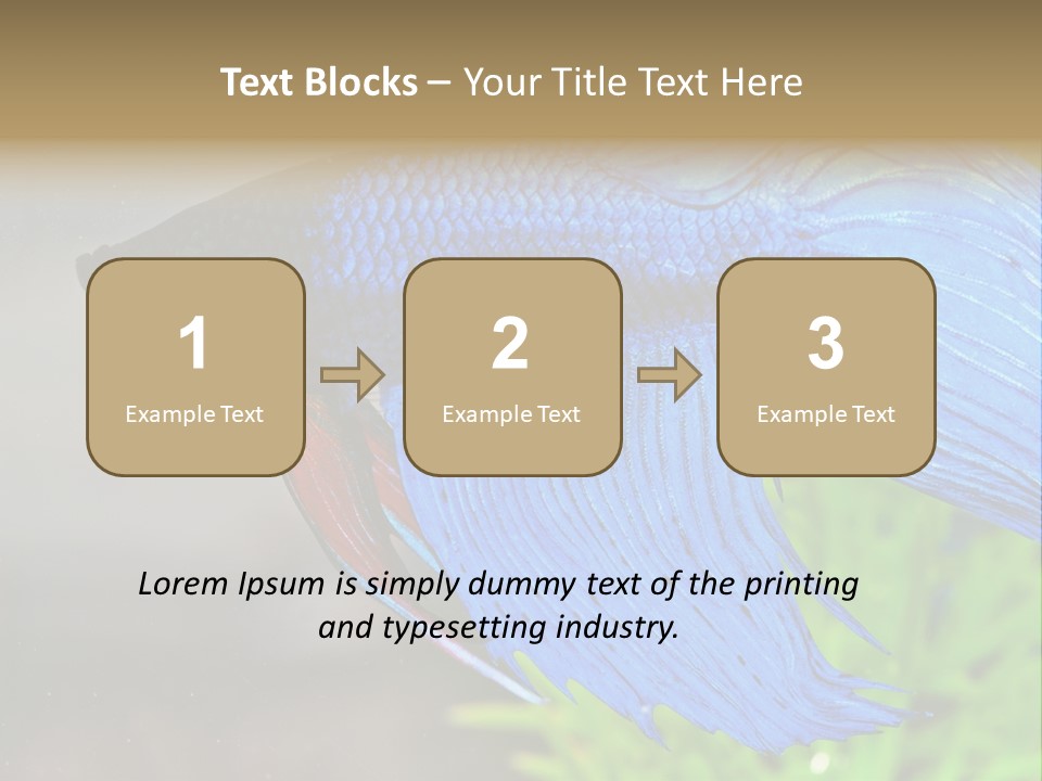 Fight Sea Vertebrate PowerPoint Template