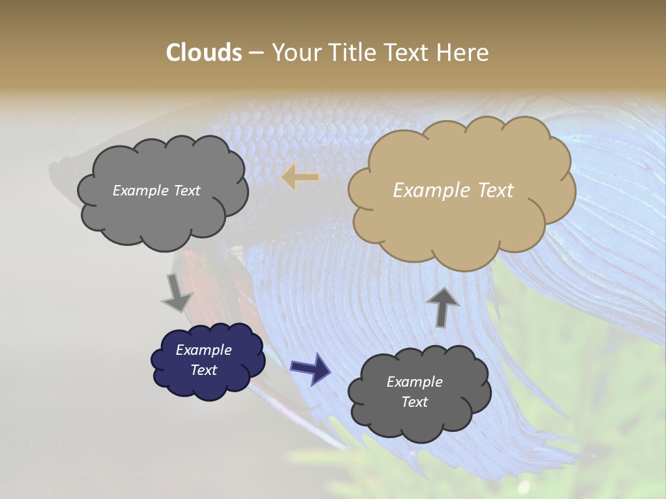 Fight Sea Vertebrate PowerPoint Template