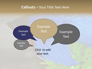 Fight Sea Vertebrate PowerPoint Template