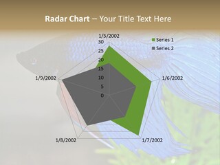 Fight Sea Vertebrate PowerPoint Template