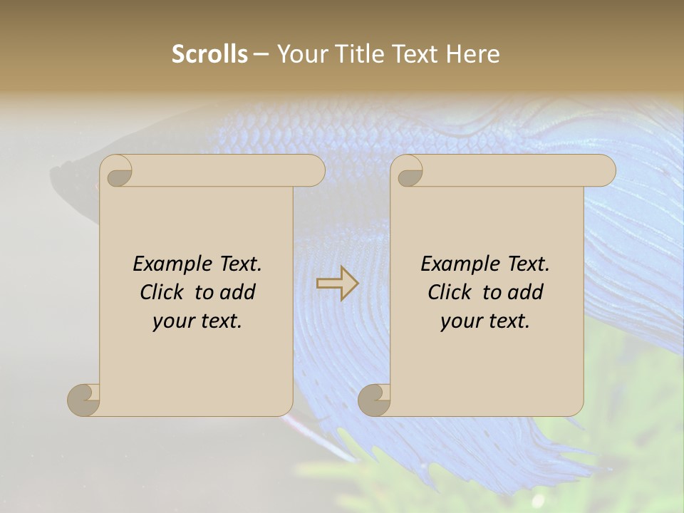 Fight Sea Vertebrate PowerPoint Template