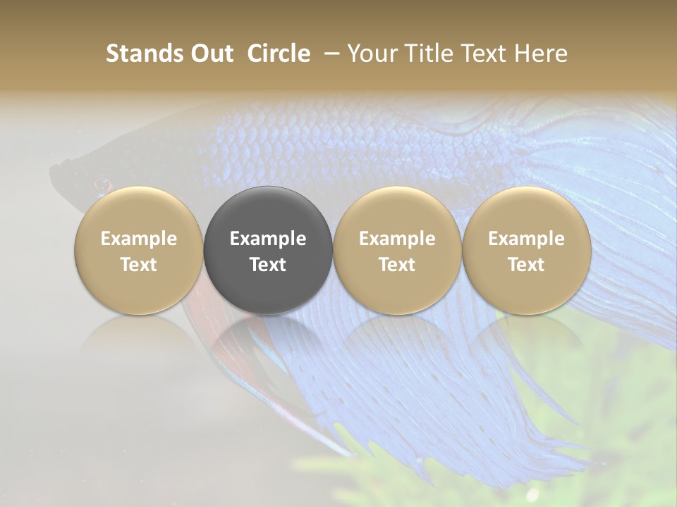 Fight Sea Vertebrate PowerPoint Template
