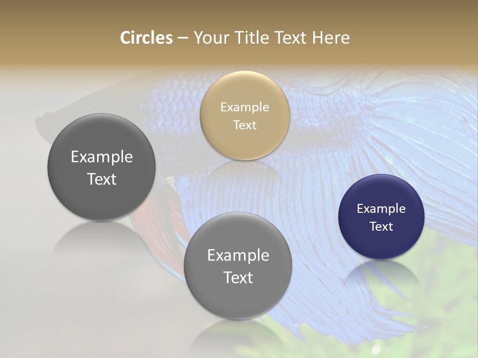 Fight Sea Vertebrate PowerPoint Template