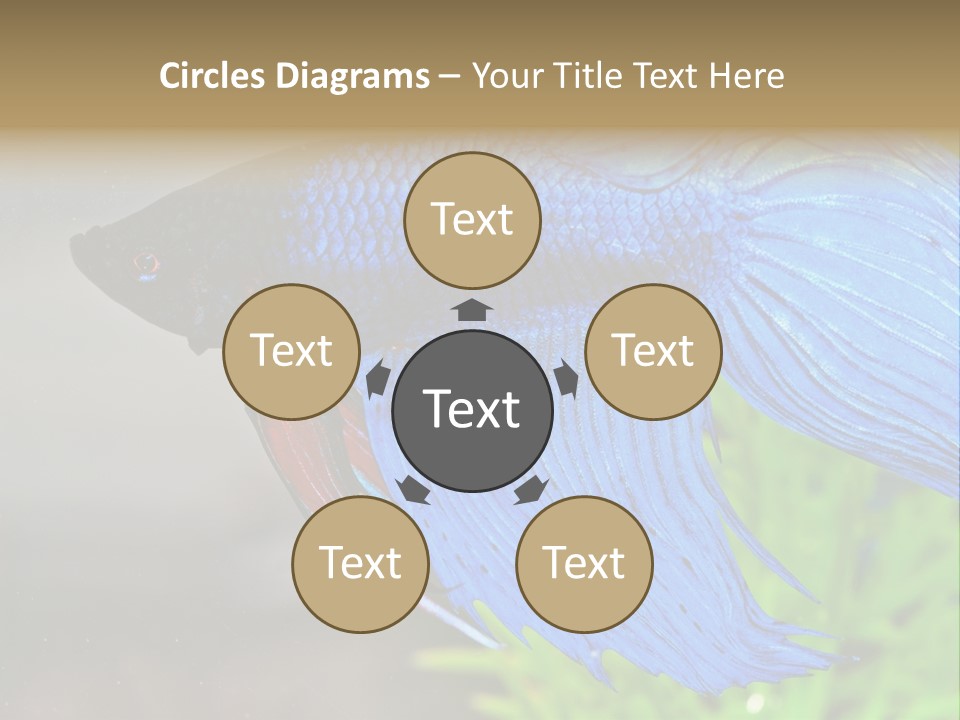 Fight Sea Vertebrate PowerPoint Template