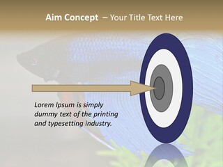 Fight Sea Vertebrate PowerPoint Template