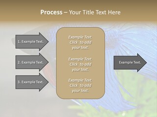 Fight Sea Vertebrate PowerPoint Template