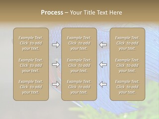 Fight Sea Vertebrate PowerPoint Template