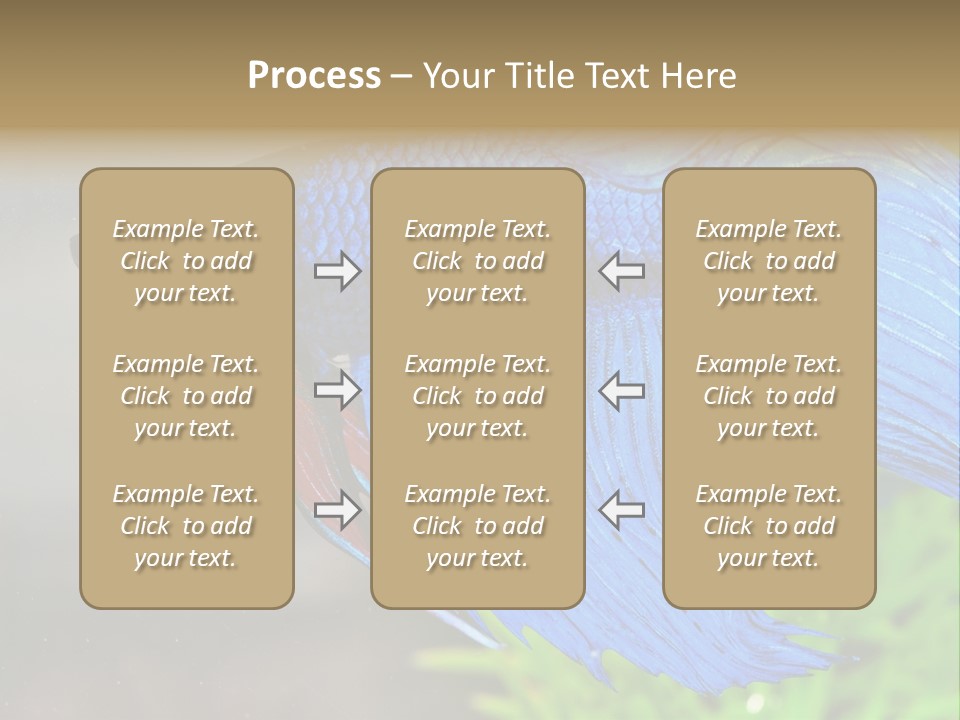 Fight Sea Vertebrate PowerPoint Template
