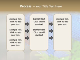 Fight Sea Vertebrate PowerPoint Template