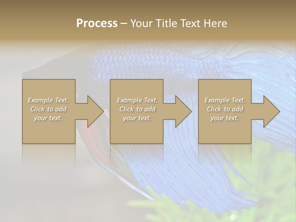 Fight Sea Vertebrate PowerPoint Template