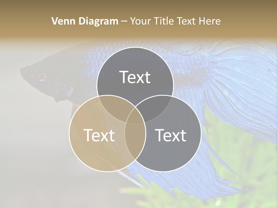 Fight Sea Vertebrate PowerPoint Template