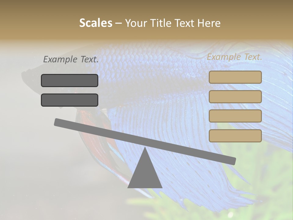 Fight Sea Vertebrate PowerPoint Template