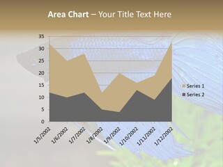 Fight Sea Vertebrate PowerPoint Template