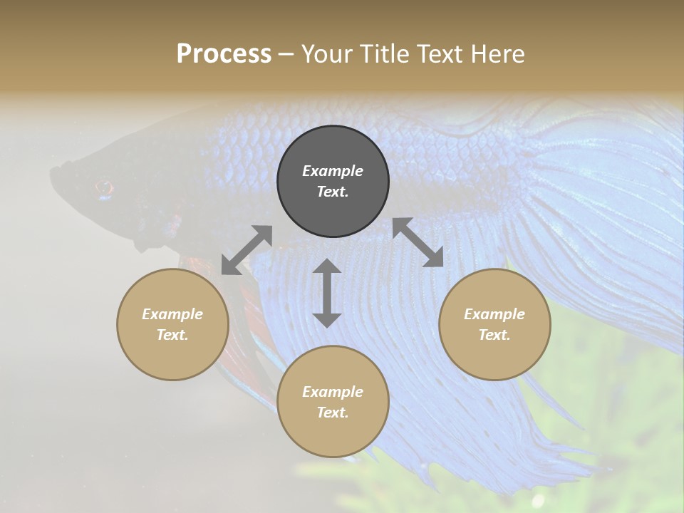 Fight Sea Vertebrate PowerPoint Template
