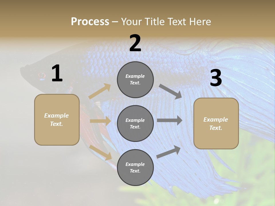 Fight Sea Vertebrate PowerPoint Template