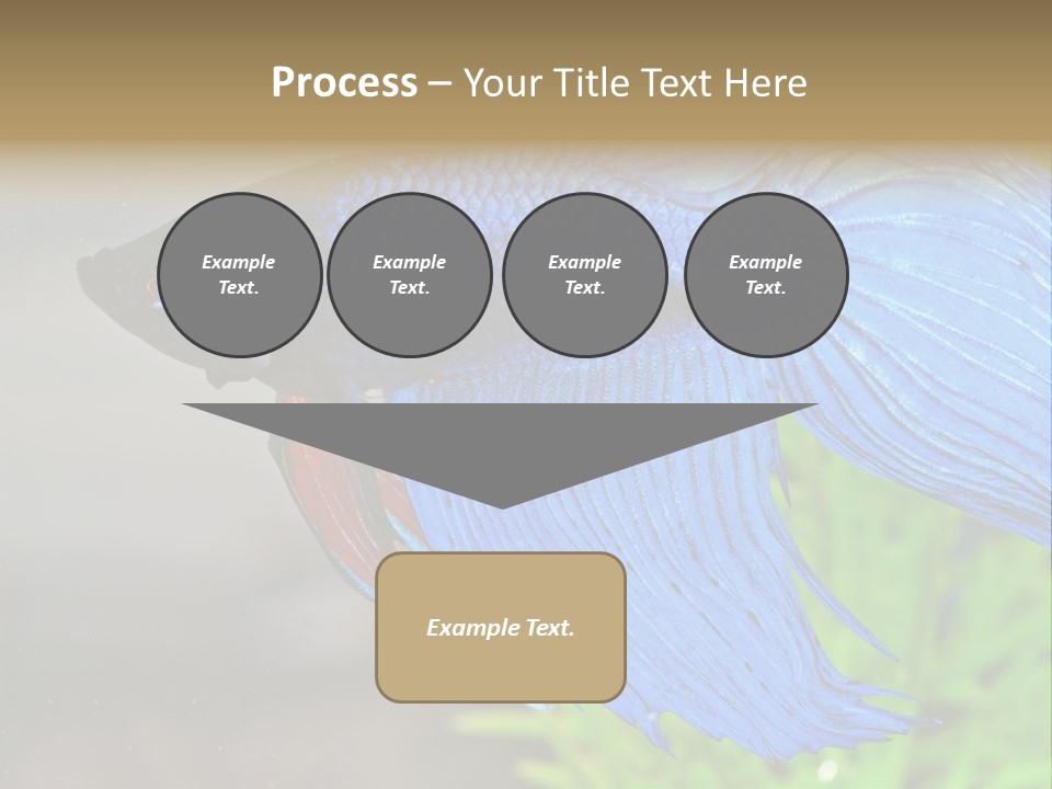 Fight Sea Vertebrate PowerPoint Template