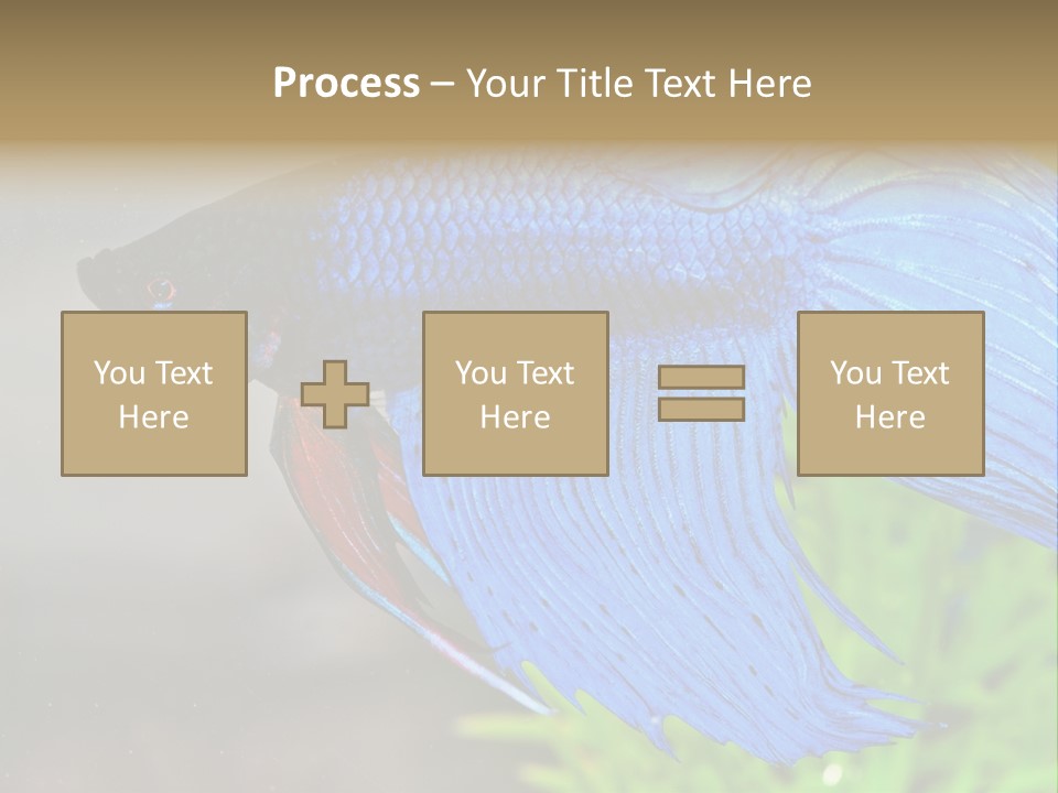 Fight Sea Vertebrate PowerPoint Template