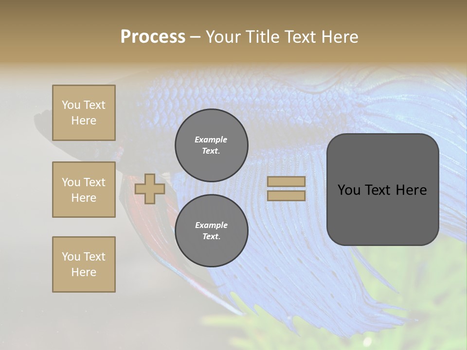 Fight Sea Vertebrate PowerPoint Template