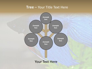 Fight Sea Vertebrate PowerPoint Template