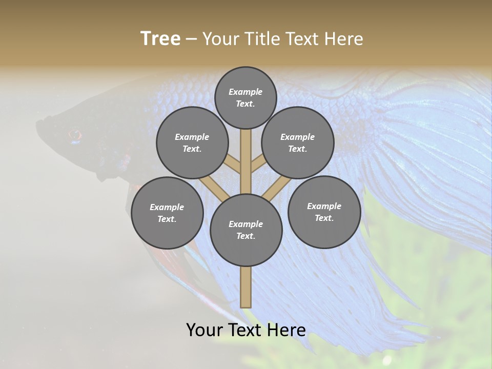 Fight Sea Vertebrate PowerPoint Template
