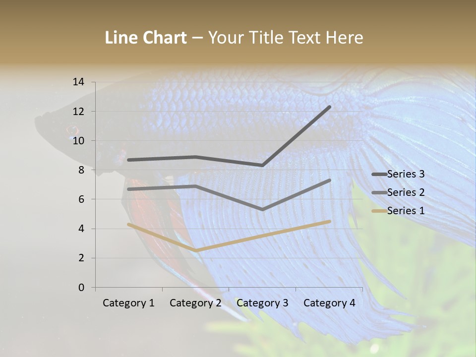 Fight Sea Vertebrate PowerPoint Template