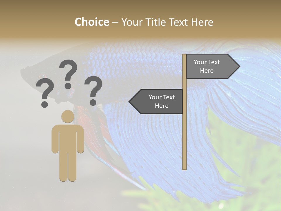 Fight Sea Vertebrate PowerPoint Template