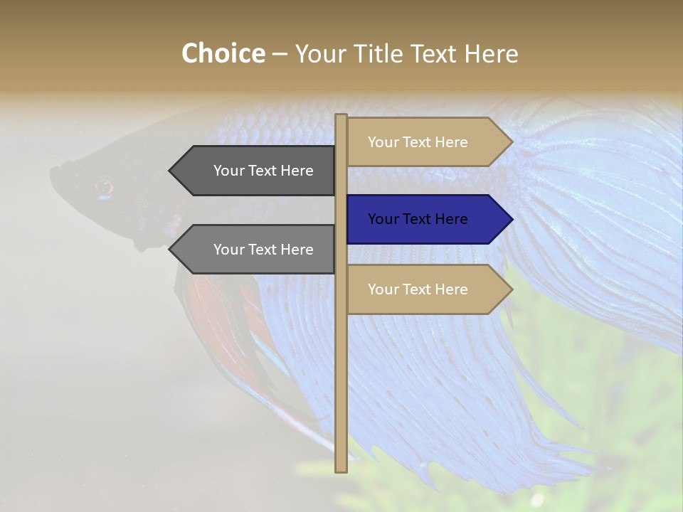 Fight Sea Vertebrate PowerPoint Template