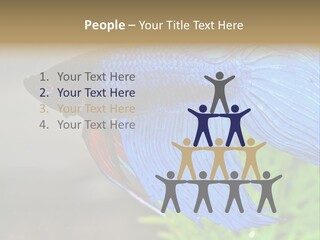 Fight Sea Vertebrate PowerPoint Template