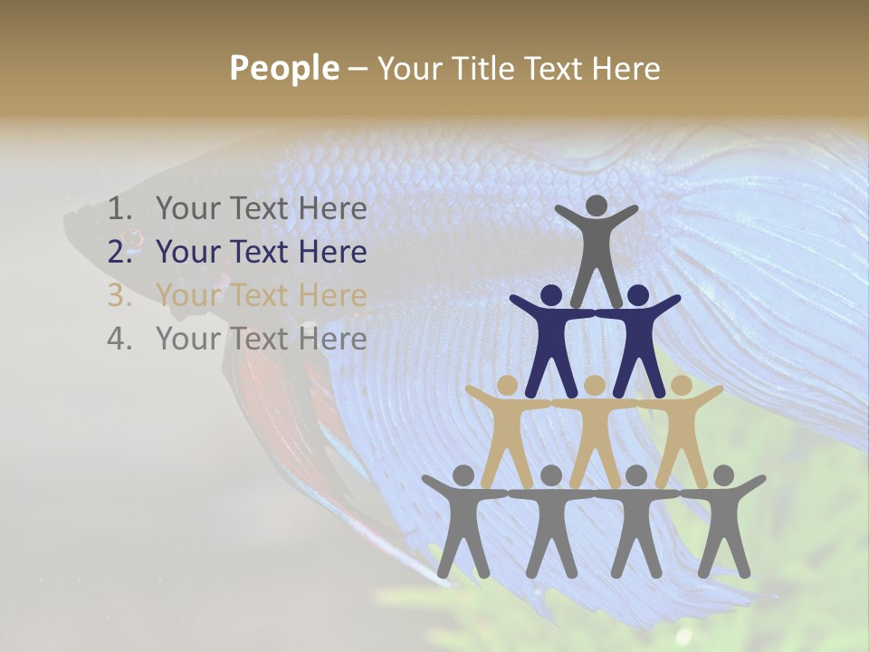 Fight Sea Vertebrate PowerPoint Template