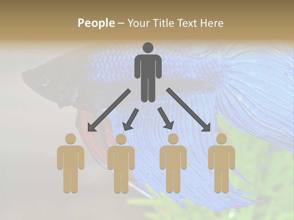 Fight Sea Vertebrate PowerPoint Template