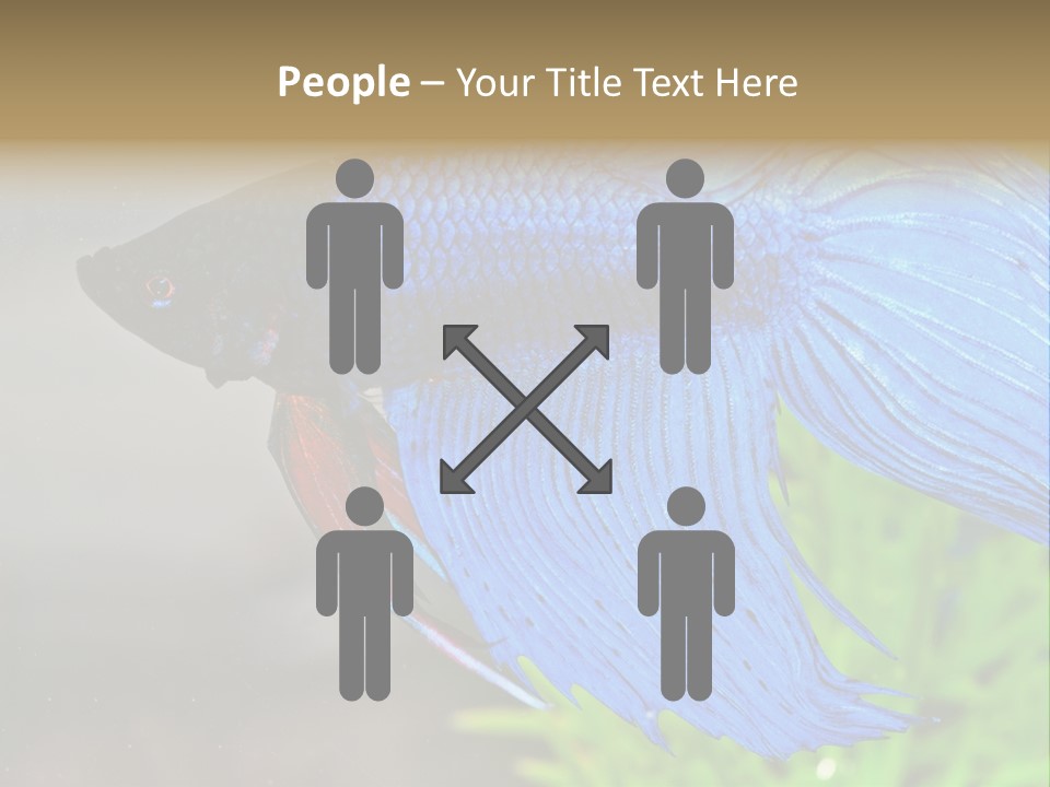 Fight Sea Vertebrate PowerPoint Template