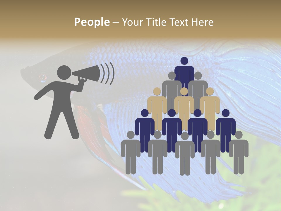 Fight Sea Vertebrate PowerPoint Template