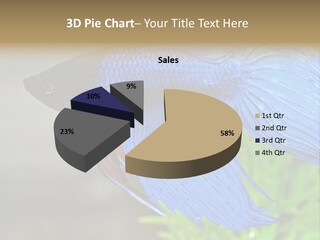 Fight Sea Vertebrate PowerPoint Template