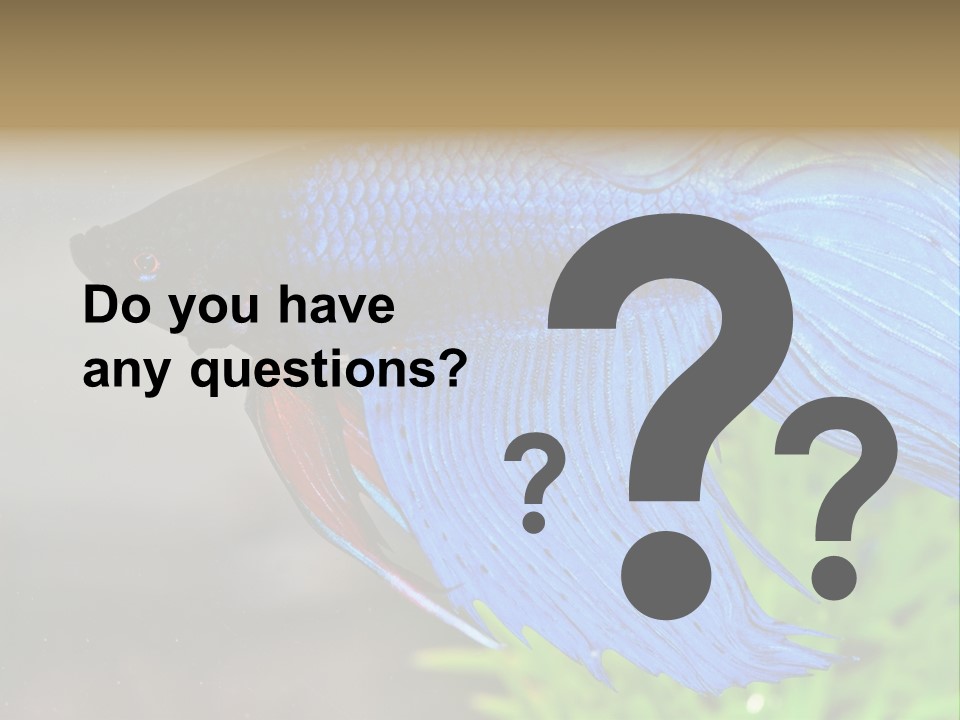 Fight Sea Vertebrate PowerPoint Template