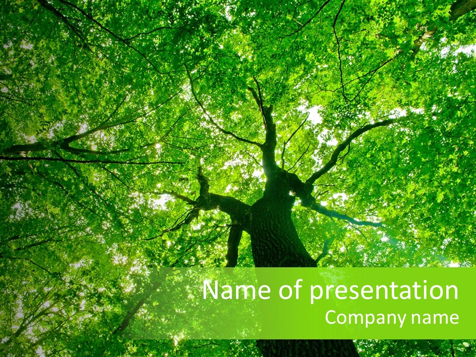 Wood Green Day PowerPoint Template