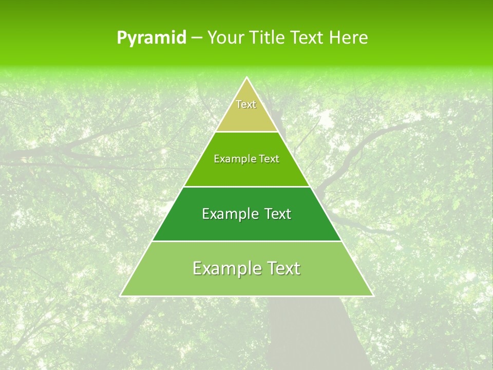 Wood Green Day PowerPoint Template