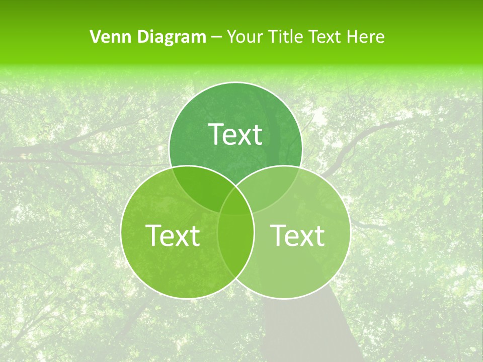 Wood Green Day PowerPoint Template