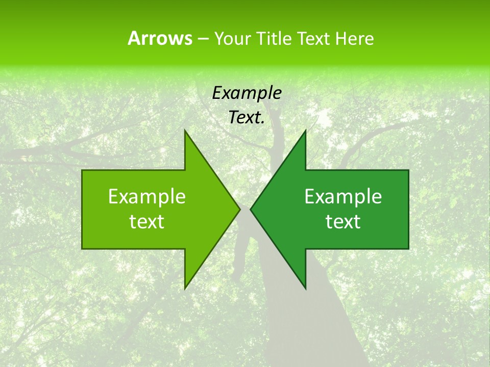 Wood Green Day PowerPoint Template