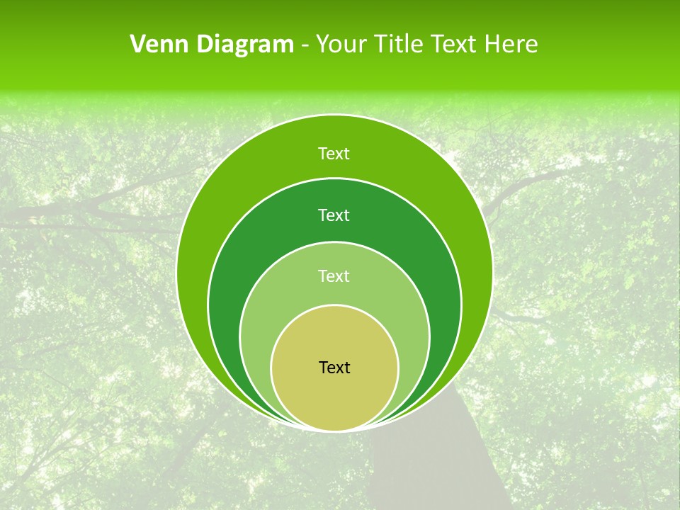 Wood Green Day PowerPoint Template