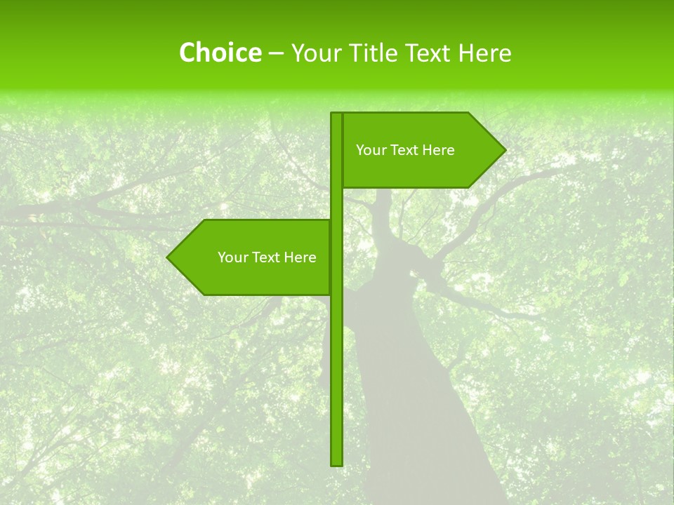 Wood Green Day PowerPoint Template