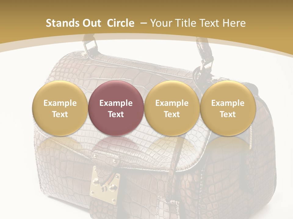 Personal Fashionable Stylish PowerPoint Template