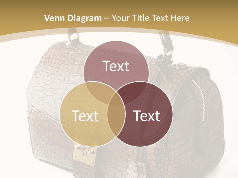 Personal Fashionable Stylish PowerPoint Template