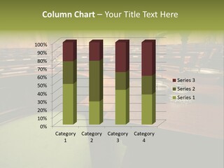 Court Authority Concept PowerPoint Template