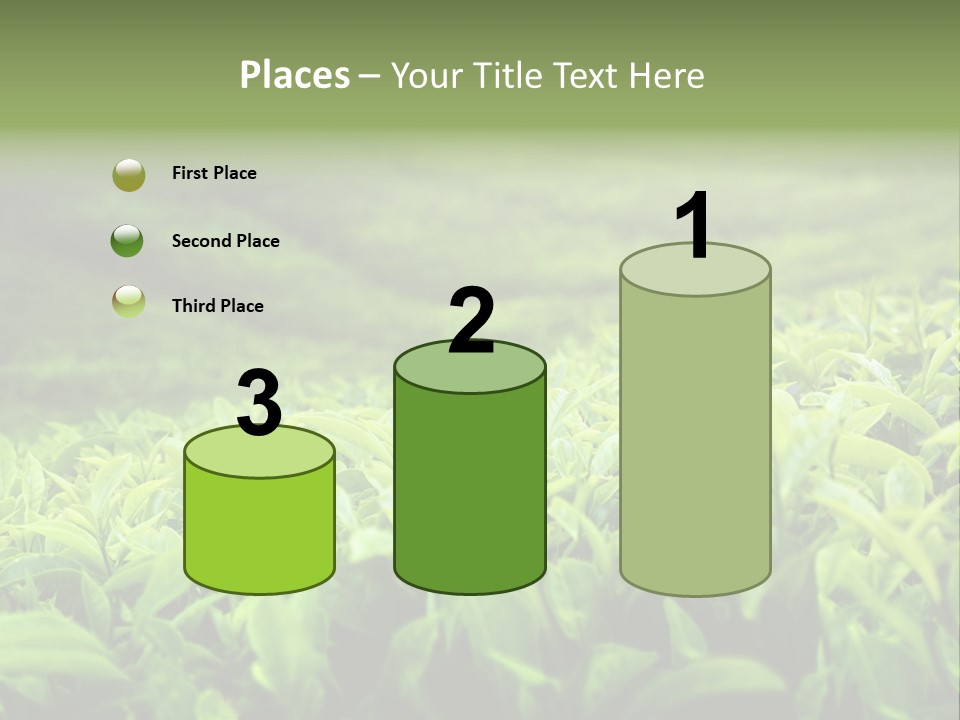 Travel Tropical Hill PowerPoint Template