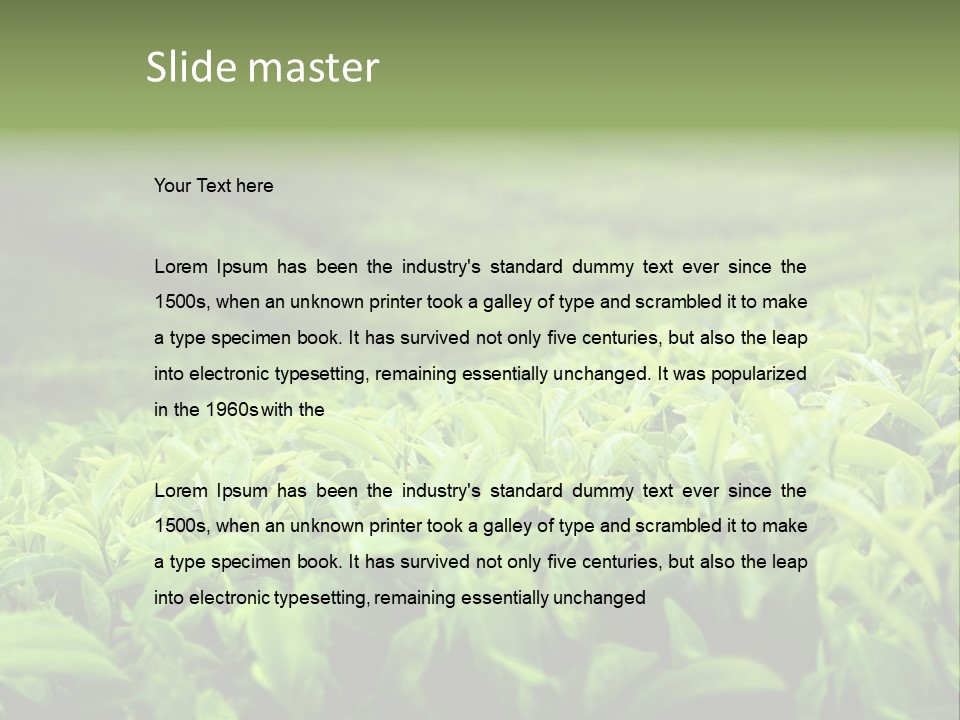 Travel Tropical Hill PowerPoint Template