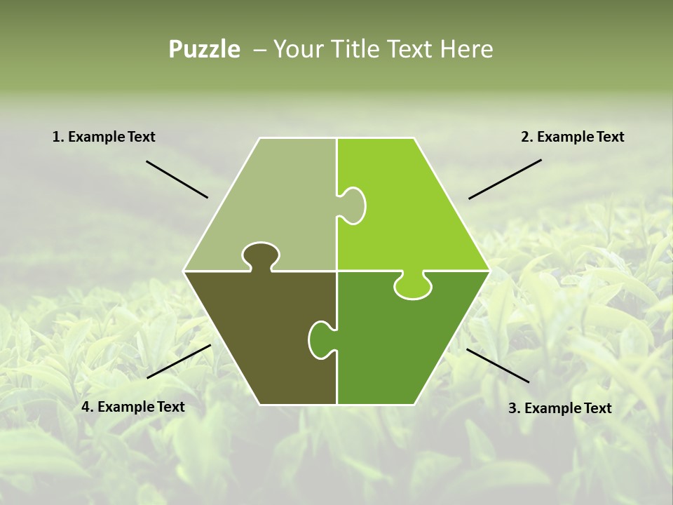 Travel Tropical Hill PowerPoint Template