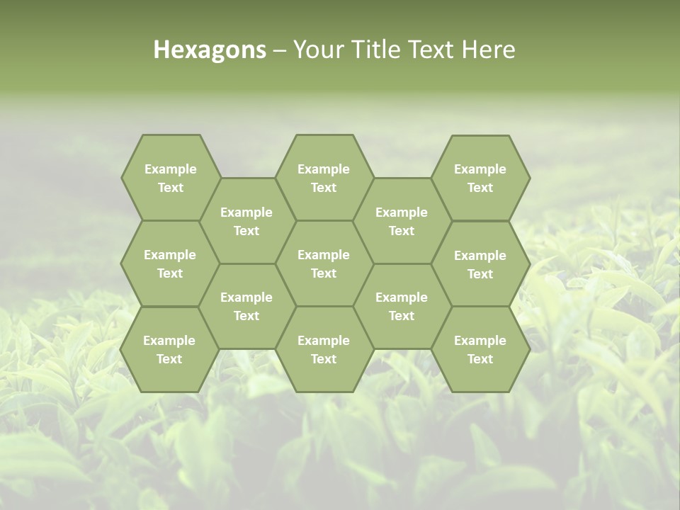 Travel Tropical Hill PowerPoint Template