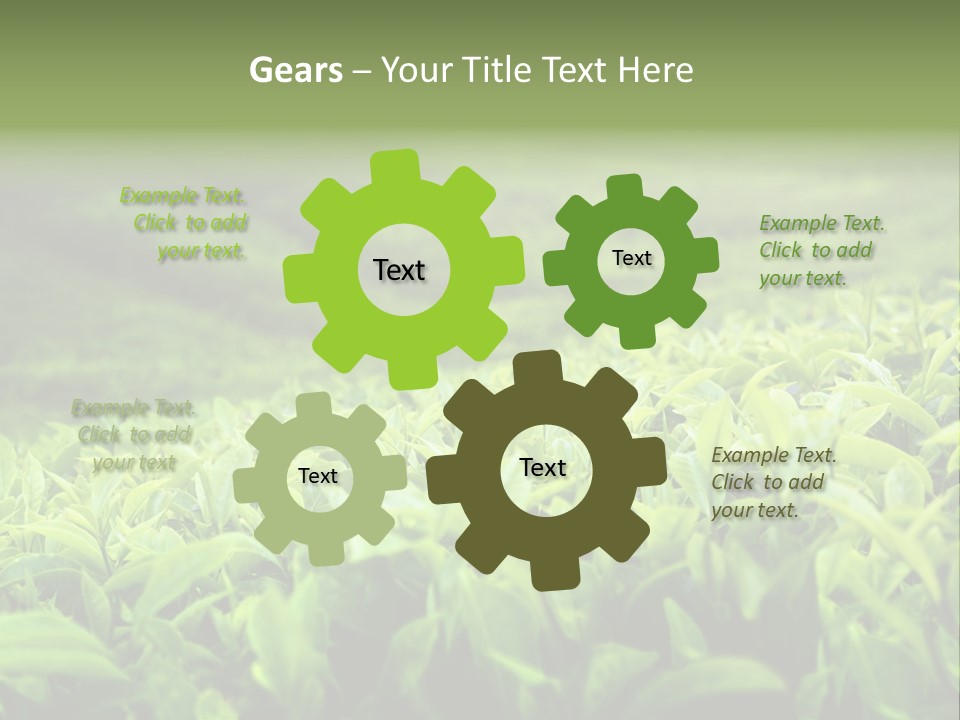 Travel Tropical Hill PowerPoint Template