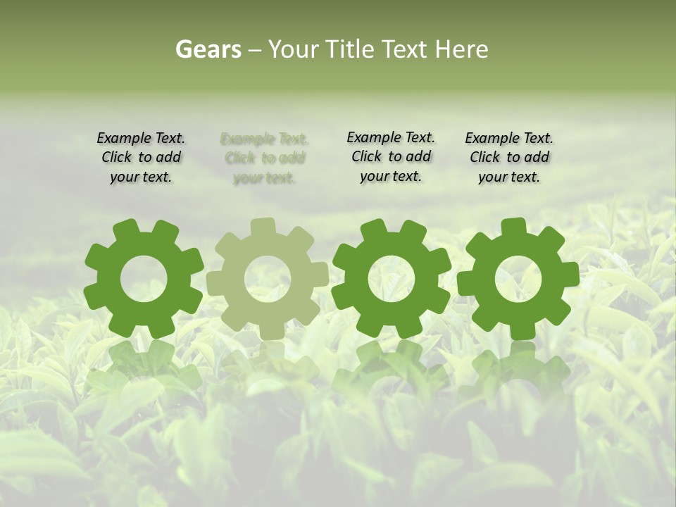 Travel Tropical Hill PowerPoint Template