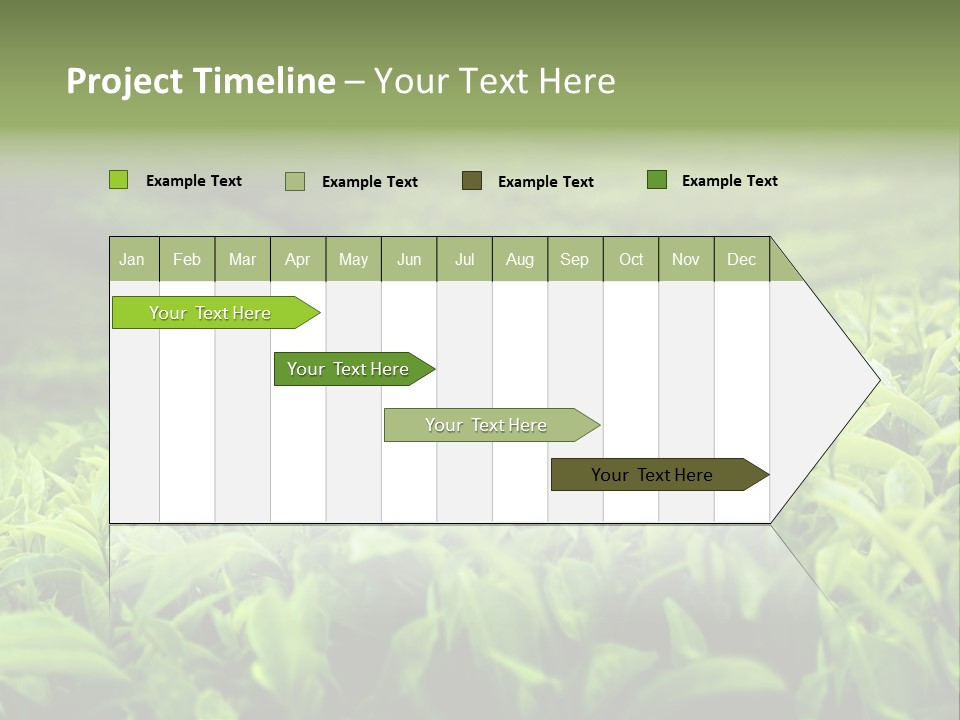 Travel Tropical Hill PowerPoint Template